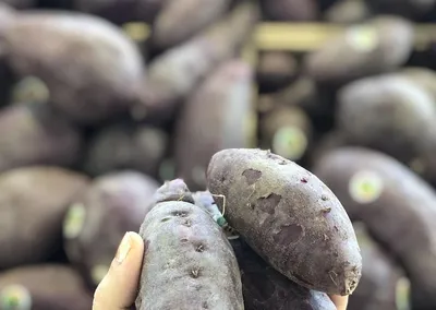 zoete aardappel stoof met gegrilde aubergine